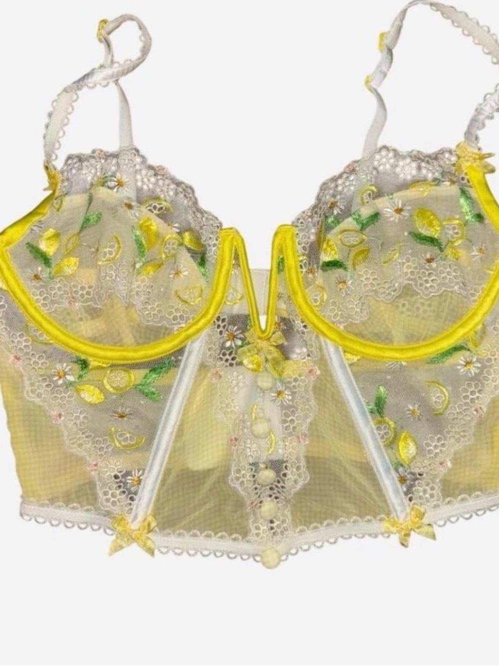 Vs x For Love and lemons corset